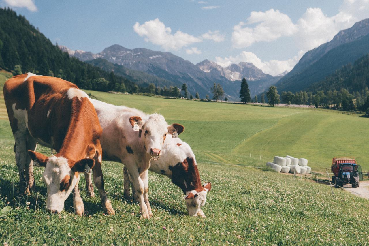 Ferienwohnungen Schwabhof Kleinarl Exteriör bild